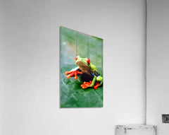 2466051 :: Acrylic Print