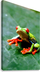 2466051 :: Giclée Stretched Canvas Print