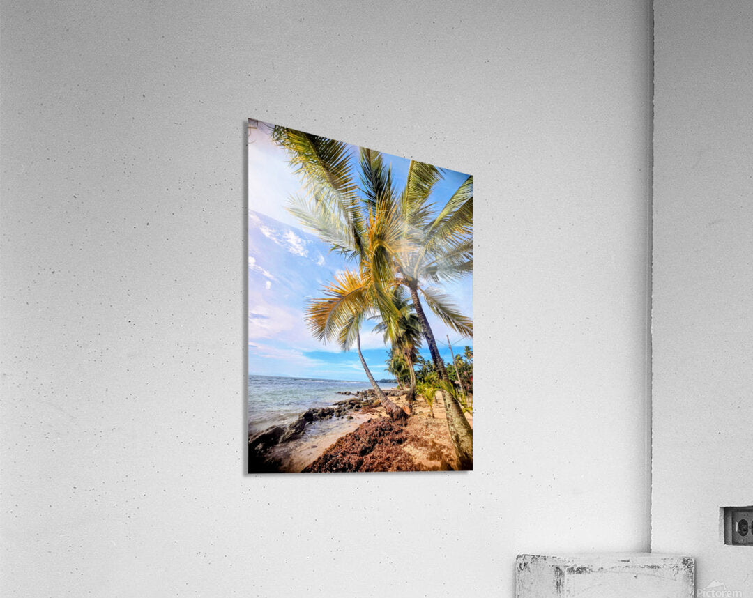 2467865 :: Acrylic Print