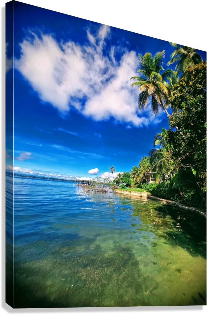 2444856 :: Giclée Stretched Canvas Print