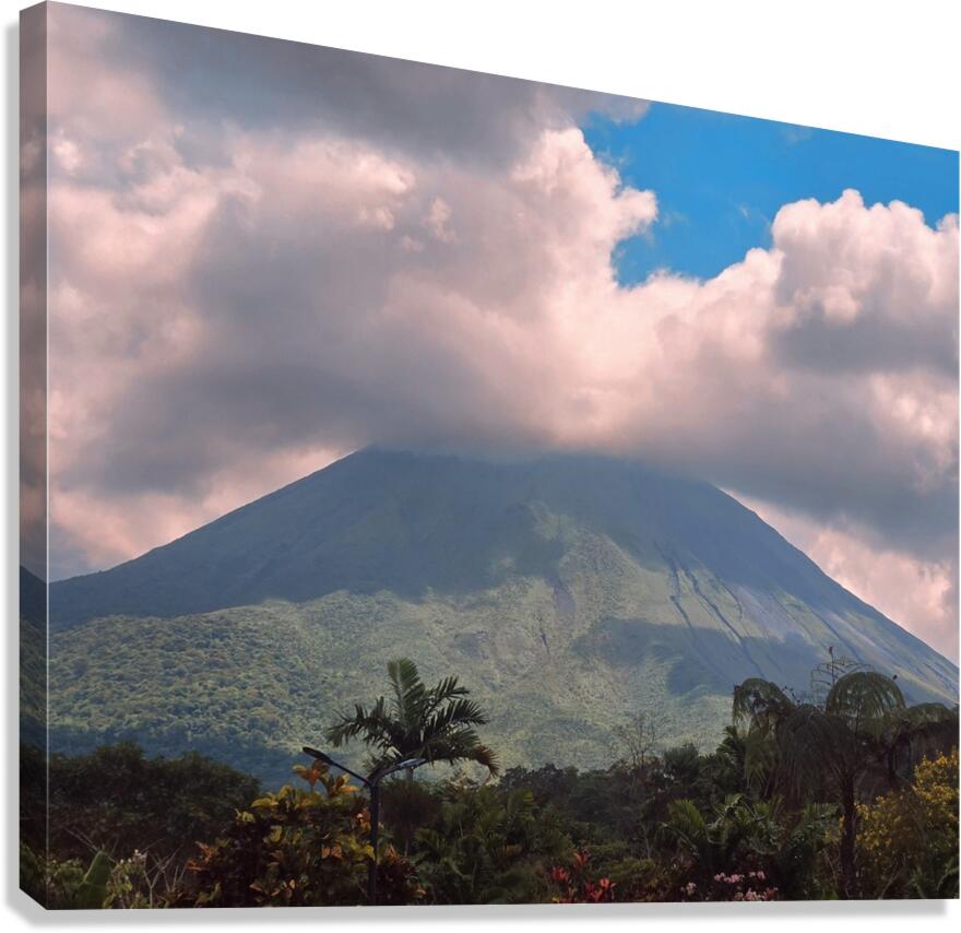 2444859 :: Giclée Stretched Canvas Print