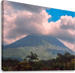 2444859 :: Giclée Stretched Canvas Print