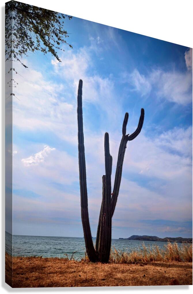 2461170 :: Giclée Stretched Canvas Print
