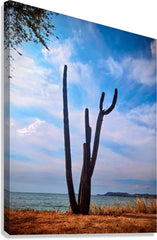 2461170 :: Giclée Stretched Canvas Print