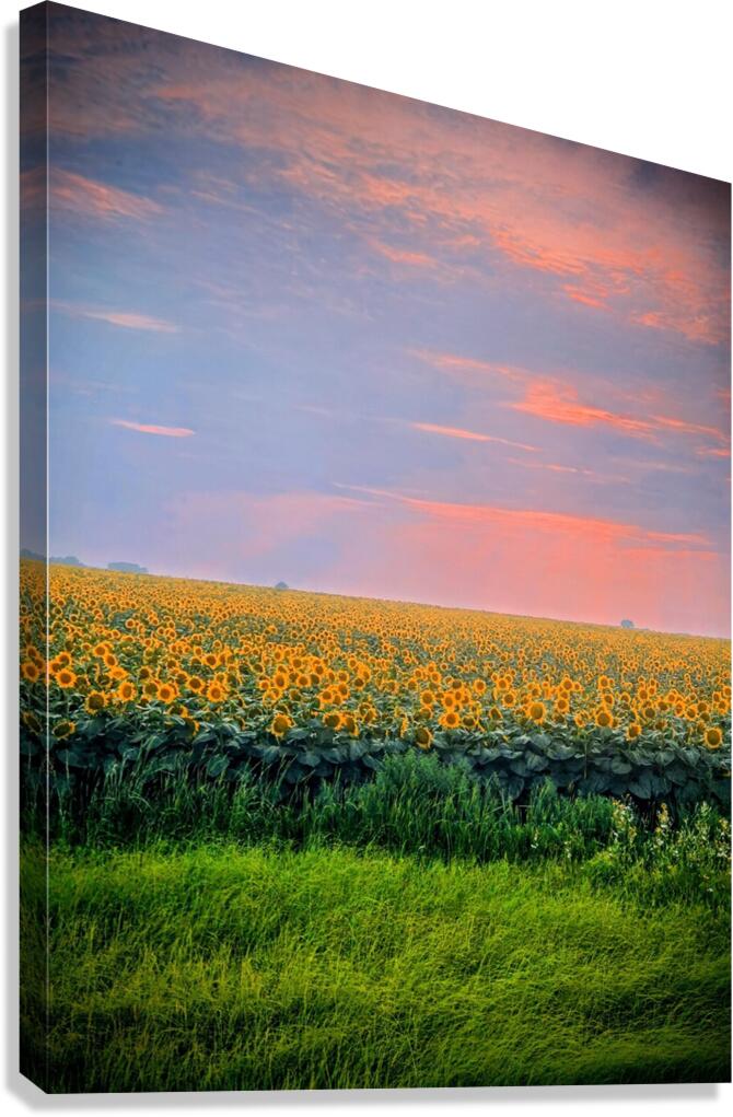 2465575 :: Giclée Stretched Canvas Print