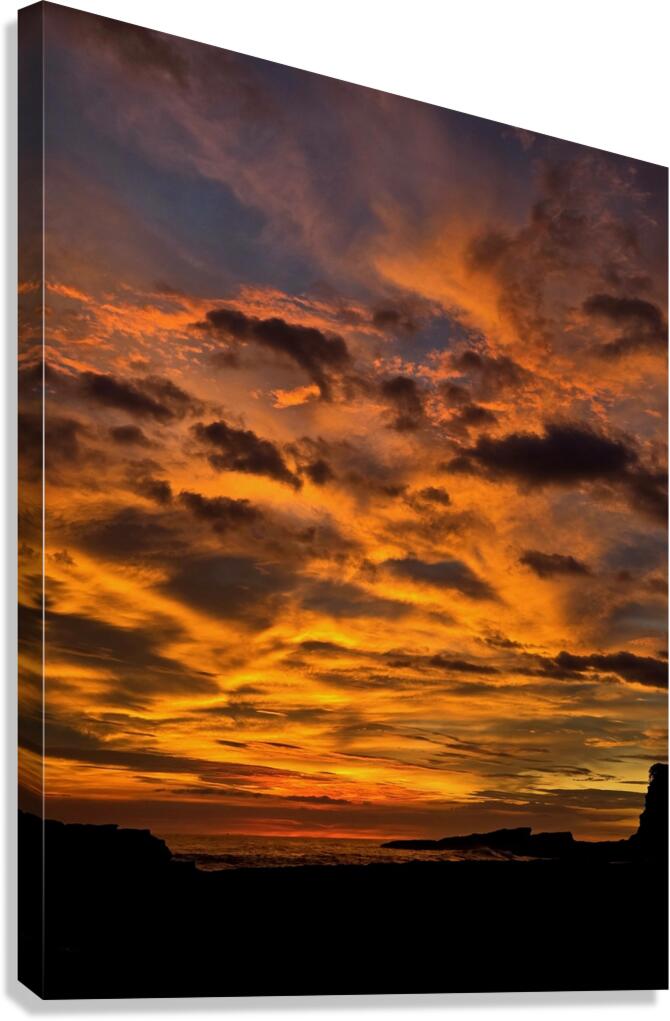 2477324 :: Giclée Stretched Canvas Print