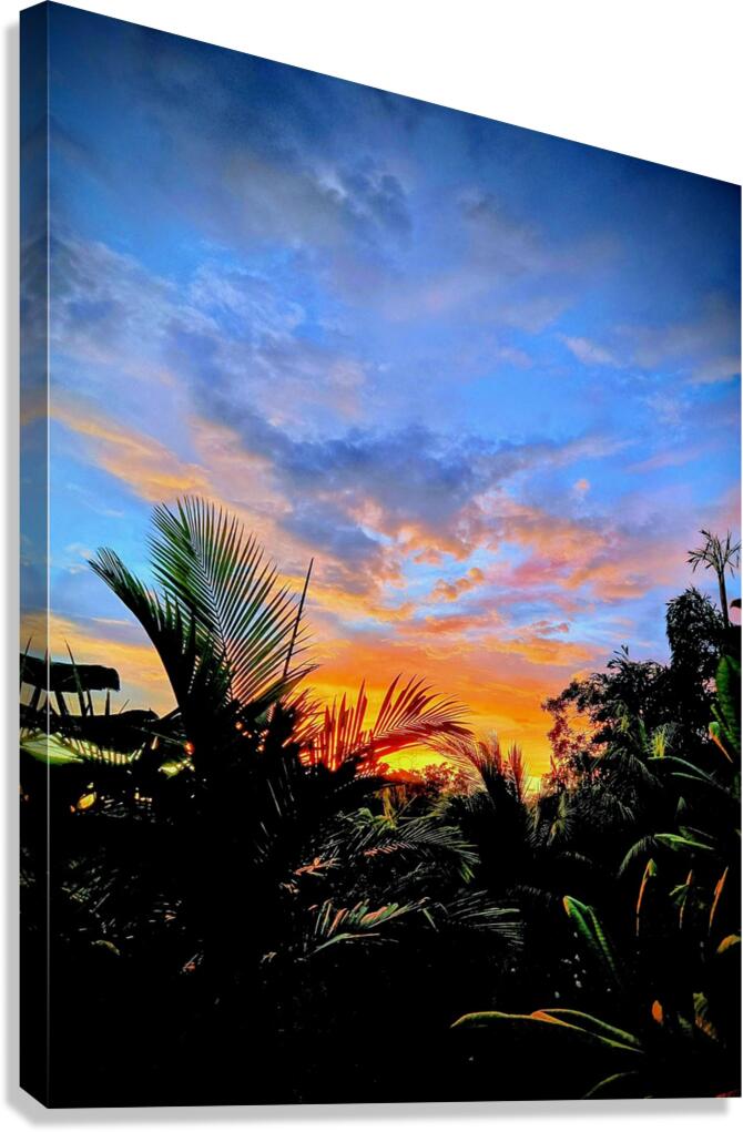 2479319 :: Giclée Stretched Canvas Print
