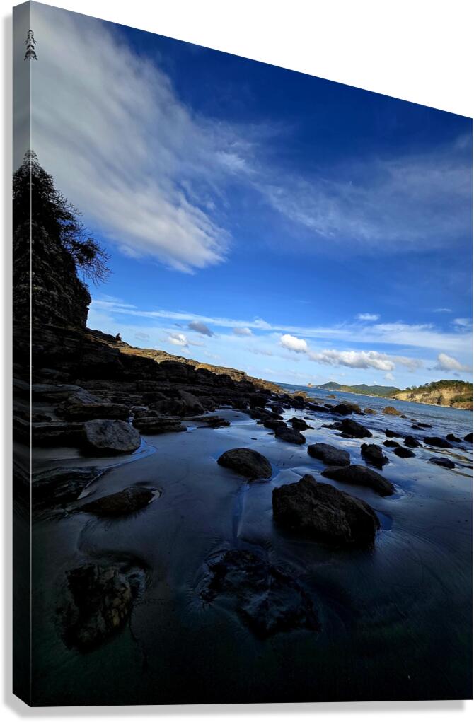 2512968 :: Giclée Stretched Canvas Print