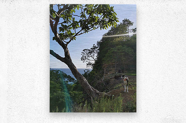 Brushed Metal Print