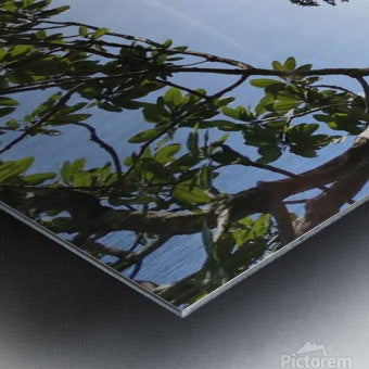 Brushed Metal Print
