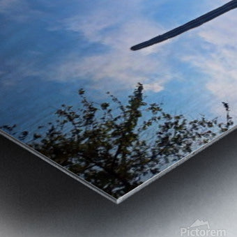 2461170 :: Brushed Metal Print