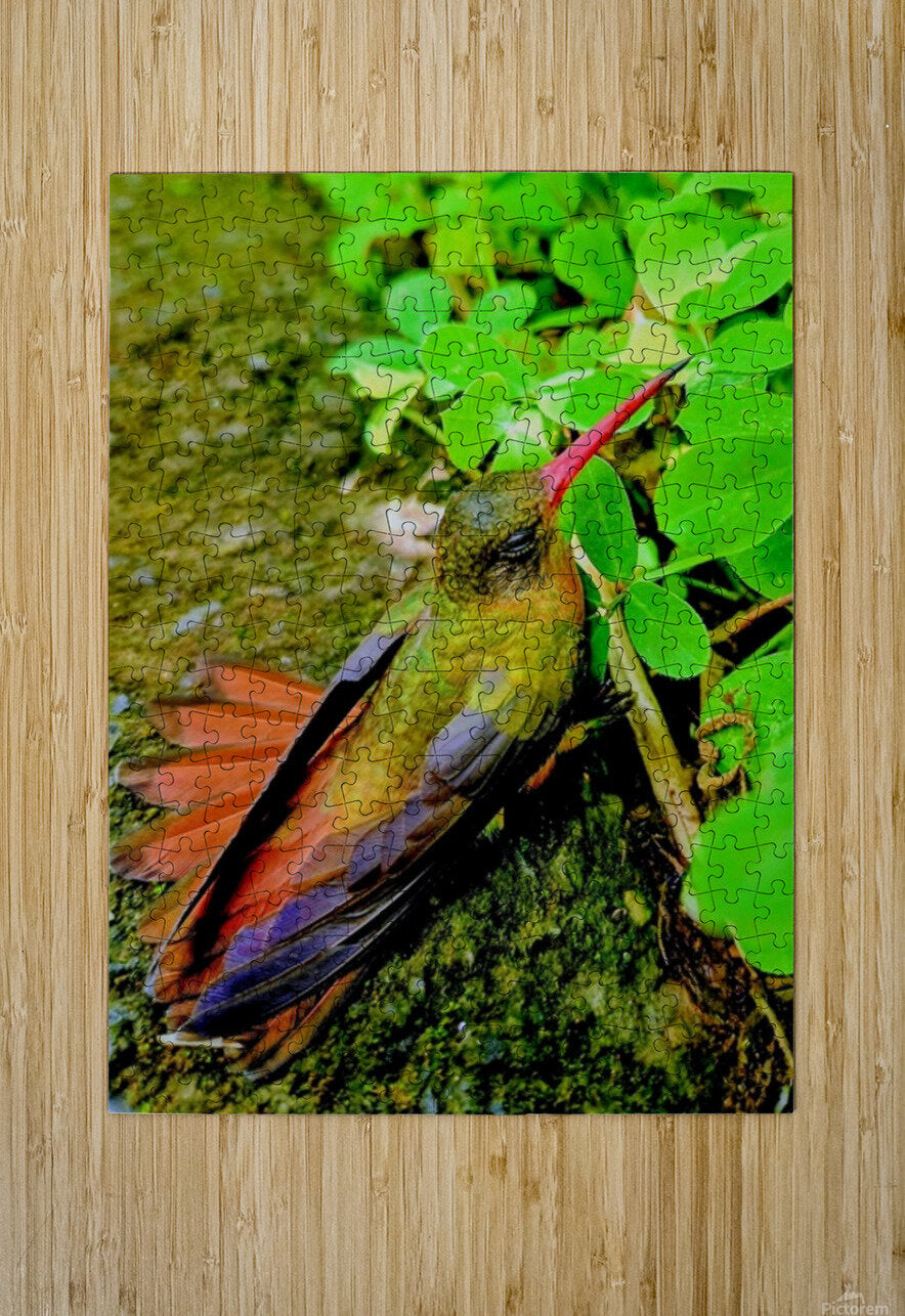 2480635 :: Puzzle Print