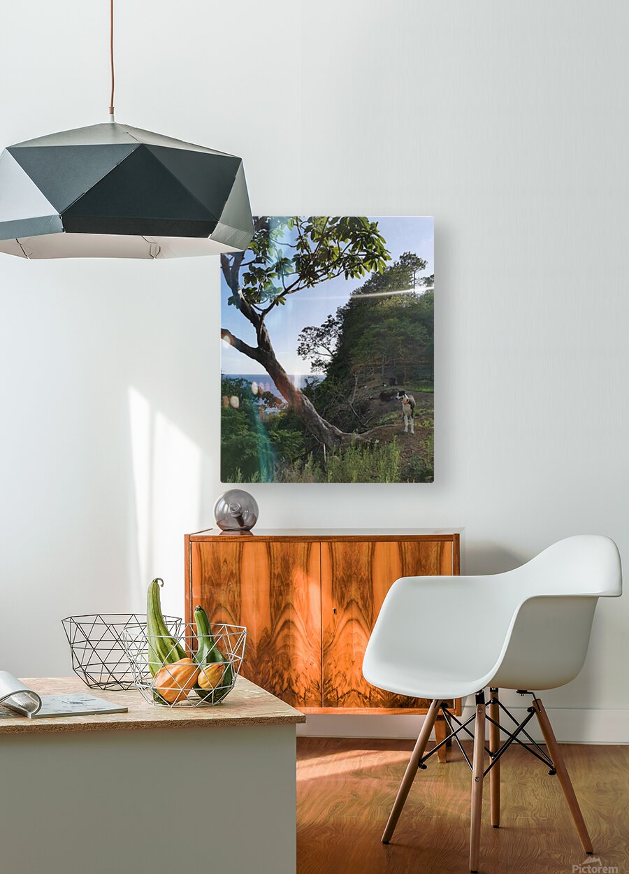 HD Sublimation Metal Print