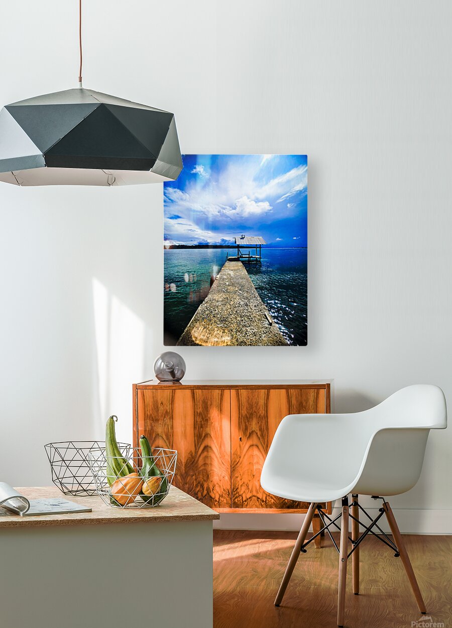 2159746 :: HD Sublimation Metal Print