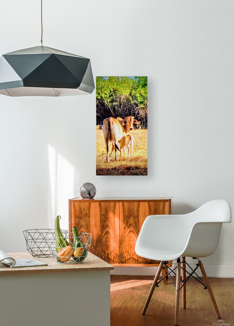 2470804 :: HD Sublimation Metal Print