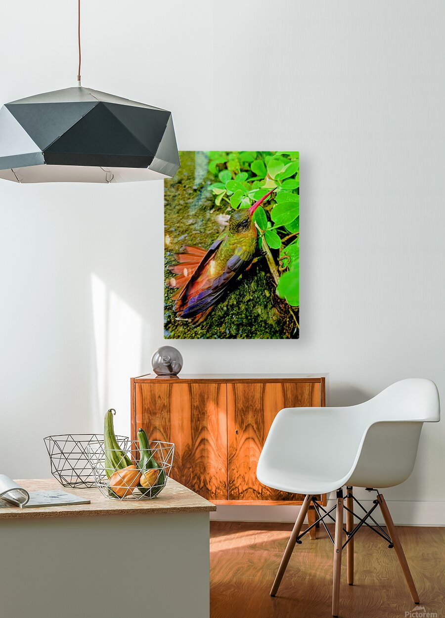 2480635 :: HD Sublimation Metal Print