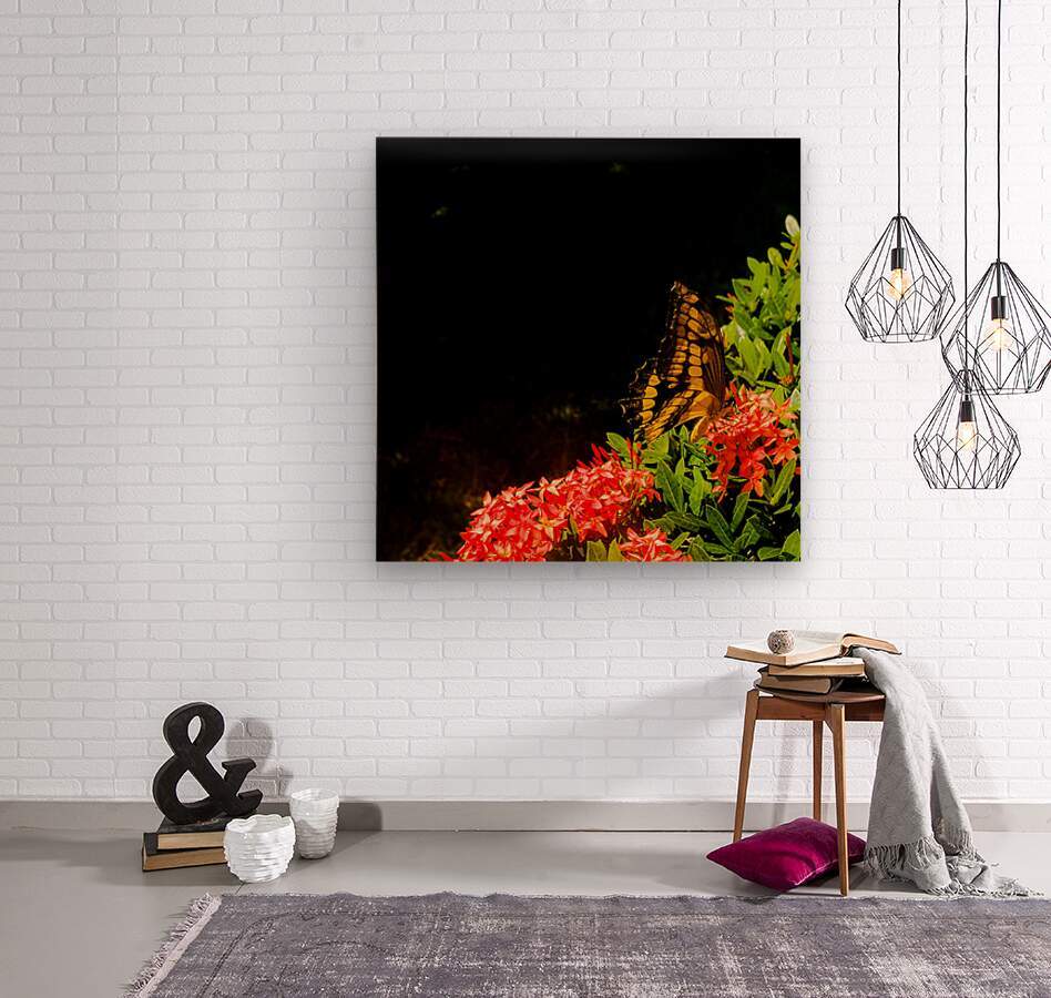 2460384 :: Wood Print