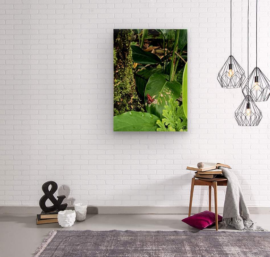 2470978 :: Wood Print