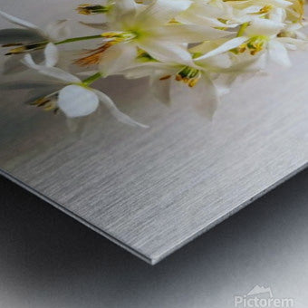 Brushed Metal Print